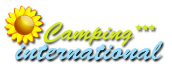logo partenaire camping international