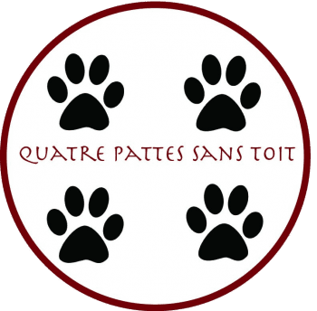 logo partenaire 4 pattes sans toit